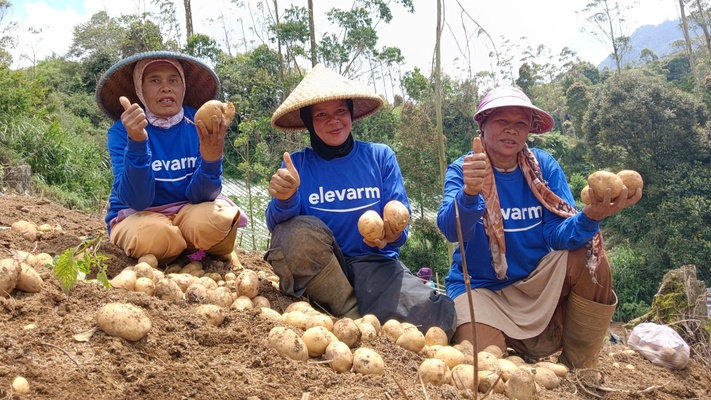 Elevarm Dapat Tambahan Investasi Rp16 Miliar dari Amartha, Rabobank, dan&nbsp;Scala
